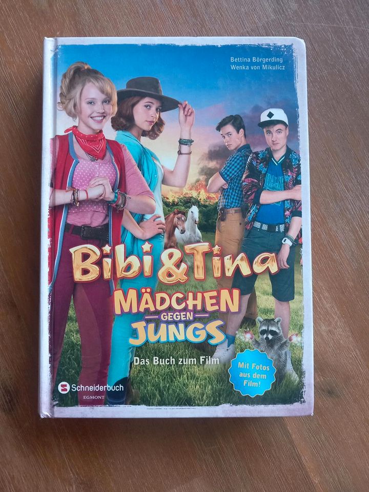 Bibi und Tina Buch * Mädchen gegen Jungs * in Arnsberg