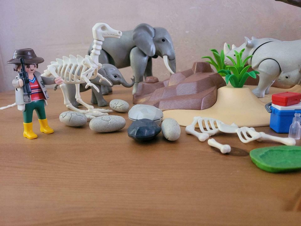 Playmobil 5275 Safari - vollständig - mit Dinosaurier Skelett in Weisweil