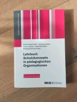 Lehrbuch Schutzkonzepte in pädagogischen Organisationen Baden-Württemberg - Wangen im Allgäu Vorschau