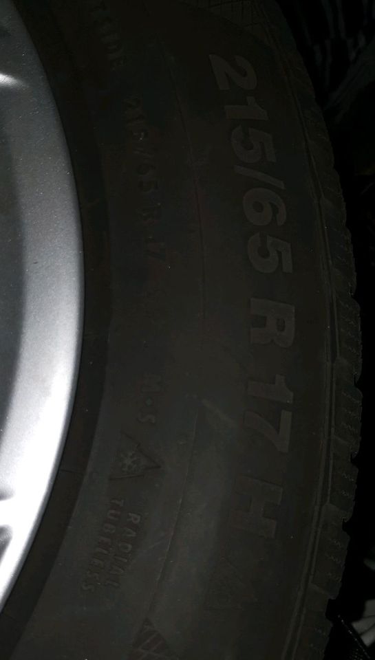 Audi Winterreifen 215/65 R 17 H Continental in Dörentrup