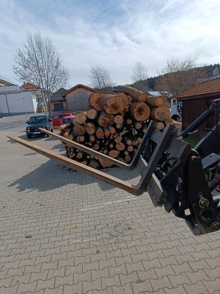 Gabelzinken FEM 2A Vetter Frontlader Staplergabel in Neuschönau