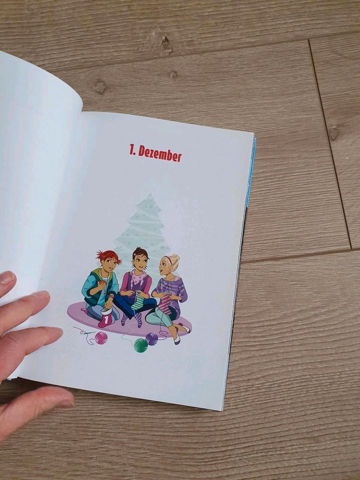 Die drei !!! Ausrufezeichen Adventskalender Buch Weihnachtsbuch in Norderstedt