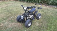 Quad Kinderquad 110ccm Dirtquad Pocket Kinder Dirt Pocketquad Schleswig-Holstein - Todenbüttel Vorschau