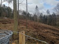 Wildschutzzaun / Forstzaun / Zaunbau für Waldflächen Bayern - Thurnau Vorschau