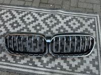 BMW 5er G30/G31 Original Kühlergrill Sport Nieren Sachsen-Anhalt - Magdeburg Vorschau