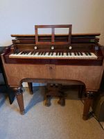 Physharmonika (Vorläufer vom Harmonium ) Fa. Trayser Sachsen - Ottendorf-Okrilla Vorschau