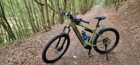 E-Bike mieten statt kaufen Hessen - Herborn Vorschau