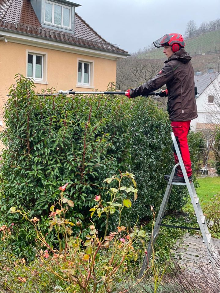 Heckenschnitt in Untergruppenbach