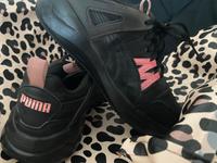 Sportschuhe, Puma, Sport,Schuhe Nordrhein-Westfalen - Moers Vorschau