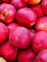 Äpfeln , Kartoffeln , Obstsäfte ......, hören sehen und staunen Sachsen-Anhalt - Petersberg (Saalekreis) Vorschau