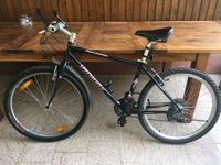 Specialized Rockhopper Fahrrad Mountainbike 26 Zoll Rad Rheinland-Pfalz - Hochspeyer Vorschau