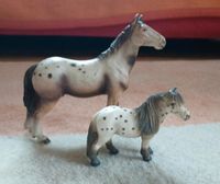 SCHLEICH Appaloosa Hengst und Mini Shetti shetland pony Bayern - Fürstenfeldbruck Vorschau