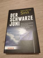 Der schwarze Juni - Hans-Werner Sinn Baden-Württemberg - Kornwestheim Vorschau
