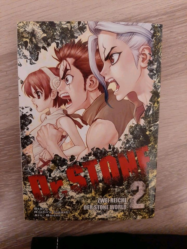 Mr.STONE Manga 1-6 in Duisburg