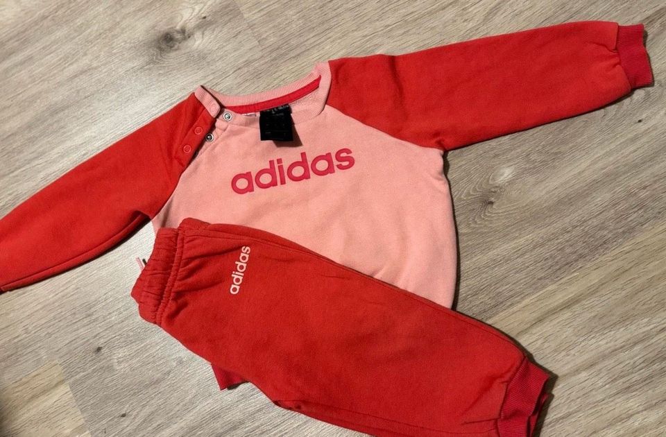 Adidas Baby Trainingsanzug in Frankfurt am Main