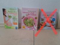 Bücher Schwangerschaft und Stillzeit Bayern - Thyrnau Vorschau