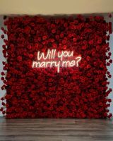 Heiratsantrag rote Rosenwand Blumenwand Fotowand Marry Me Berlin - Tempelhof Vorschau
