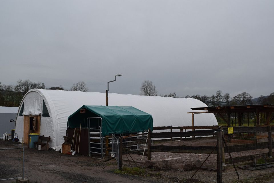 Pferde Unterstand Lagerhalle Landwirtschaft 12x9,15x4,5 Statik in Rodeberg