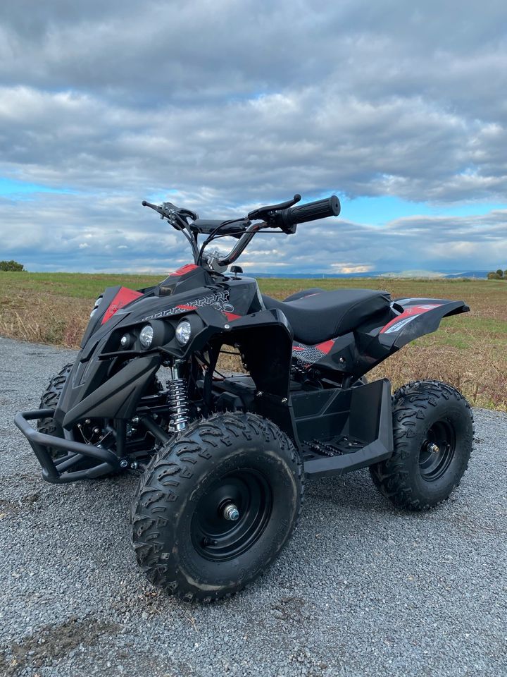 Pocket Bike Quad 1000 Watt NEU Elektro Kinderquad Mini ATV 2024 in Haibach Unterfr.