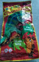 Gummi Chamäleon Brandenburg - Ludwigsfelde Vorschau