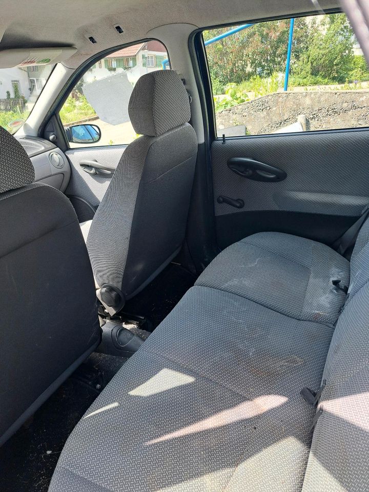 Fiat Punto 1.2 L in Isny im Allgäu