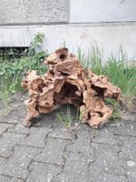 große MANGROVENWURZEL 70x50x50 Wurzel für Terrarium Dekowurzel Nordrhein-Westfalen - Viersen Vorschau