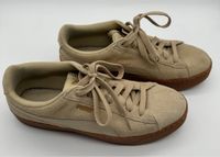 Puma Schuhe Gr. 40 Baden-Württemberg - Sindelfingen Vorschau