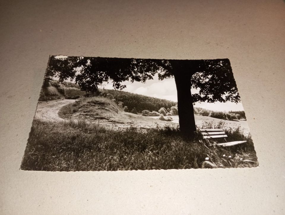 Spangenberg Hessen Wanderweg Vintage Postkarte 1950er in Elmshorn