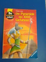 Die Pyramide der 1000 Gefahren, Fabian Lenk, 1€ Sachsen-Anhalt - Halle Vorschau
