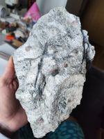 XXL Aktinolith Granat Glimmerschiefer Mineralien MineralSteine Bayern - Creußen Vorschau