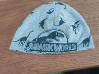 ☆H&M Mütze 110/ 128 Dinosaurier Jurassic World grau ☆ Niedersachsen - Hatten Vorschau