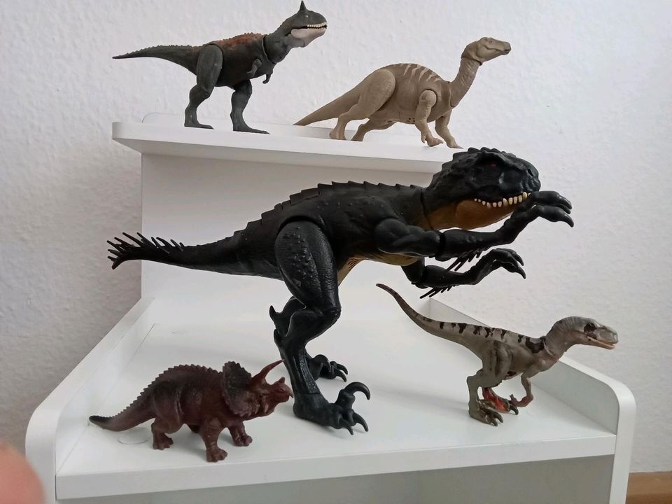 Auflösung meiner Dinos Figuren Sammlung Dinosaurier in Friedberg