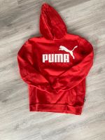 Puma Hoody Stuttgart - Bad Cannstatt Vorschau