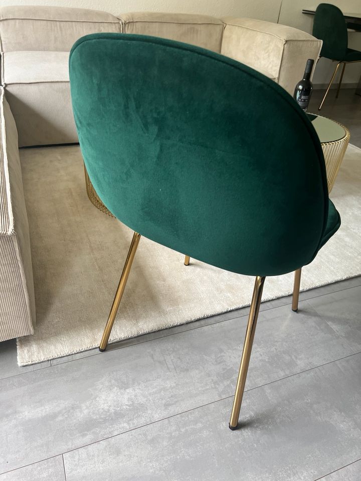 4 Stühle grün samt mit Gold Gestell top Zustand in Neuss