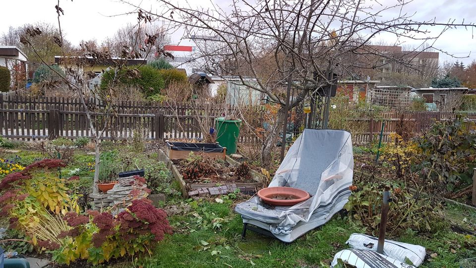 Kleingarten im Dornröschenschlaf sucht motivierte Gärtner in Wilkau-Haßlau