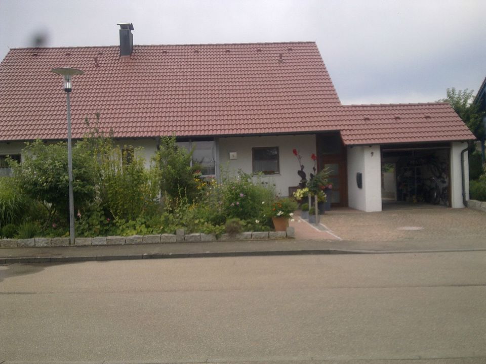 Dachreinigung - Dachbeschichtung Firma Rittlinger aus Langenau in Langenau