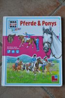 Was ist was Junior Pferde & Ponys Buch Band 5 Nordrhein-Westfalen - Heinsberg Vorschau