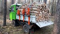 Brennholz zum selber schlagen Sachsen-Anhalt - Kemberg Vorschau