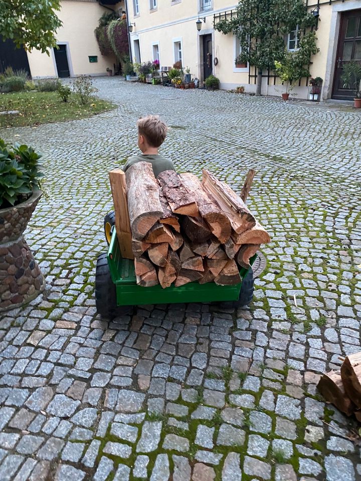 Kaminholz Brennholz Feuerholz Birke 33er Fix&Fertig gespalten in Radeburg