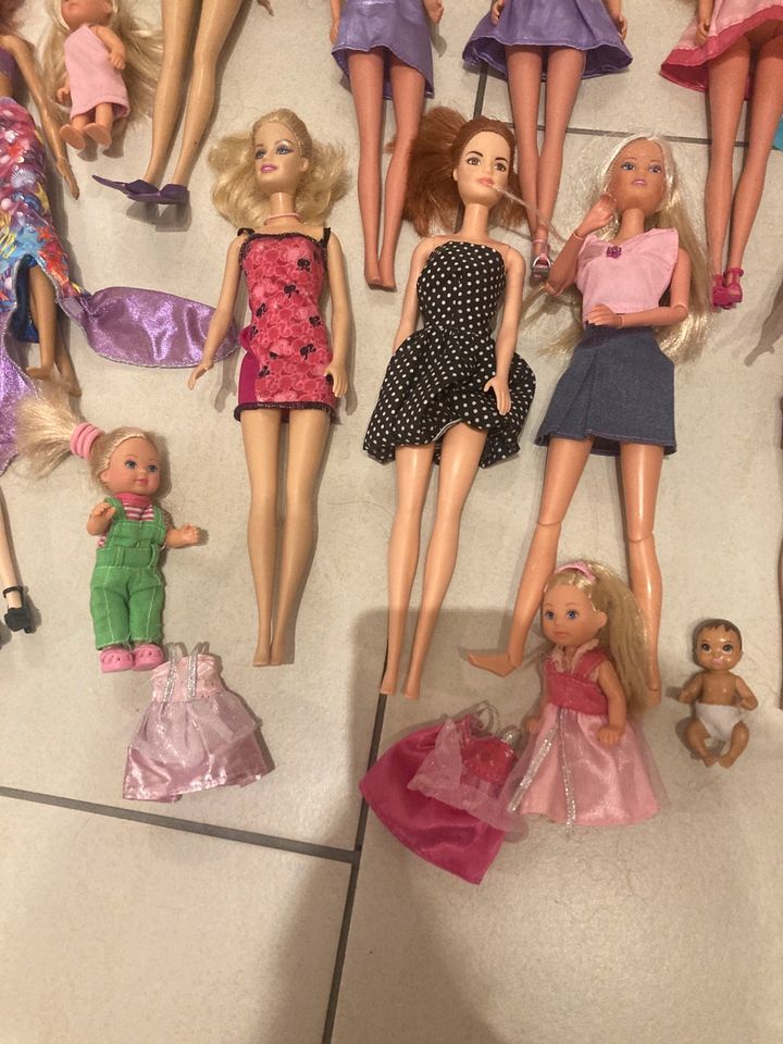 Barbie Konvolut in Surwold