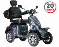 GT E-Quad Elektromobil Scooter Lithium-Ionen Wechsel-Akku 20 km/h Bayern - Pyrbaum Vorschau