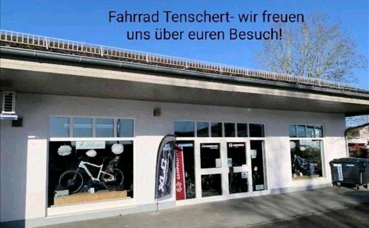 Angebot Hoheacht Ebike PASIA Urbo Damen Shimano EP8 Riemen in Stammham b. Ingolstadt