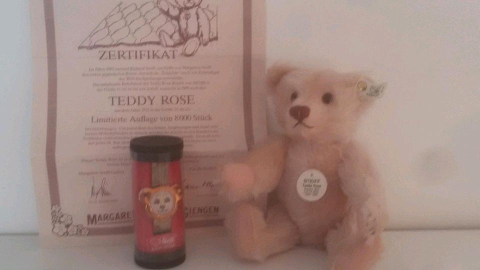 Steiff Teddy "Rose" in Ellerau 