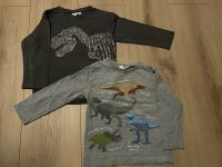 Langarmshirts *Dino* Gr. 92/98 Zab Kids Collection Saarland - Wadgassen Vorschau