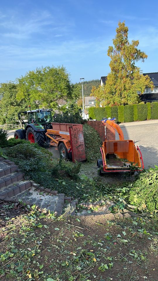 Hausmeister * Aushilfe * in Waldesch