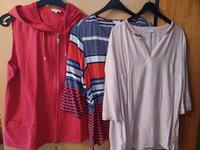 Gina Laura Shirts Kapuzenweste L rot Pailletten Weste Set Paket Rheinland-Pfalz - Pirmasens Vorschau