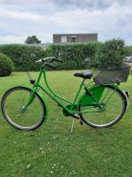 Fahrrad Farbe grün Niedersachsen - Stolzenau Vorschau