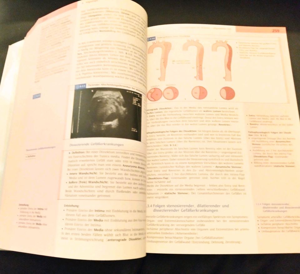 ❤️ Thieme MLP Innere Medizin Buch 1500 Seiten Fachbuch Medizin in Dresden