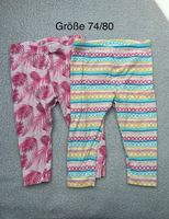 2 bunte Pinke Leggins *lupilu* Größe 74/80 Niedersachsen - Hagenburg Vorschau