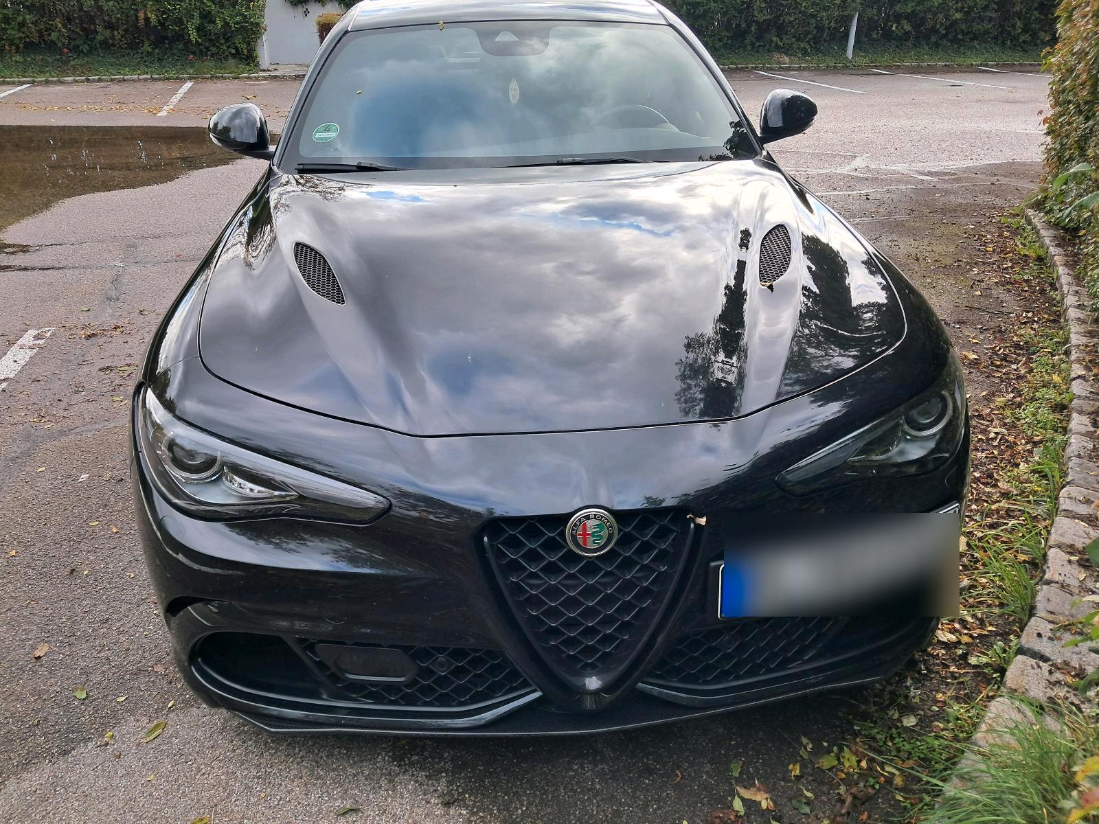 Abbildung des Autos alfaromeo giulia quadrif…